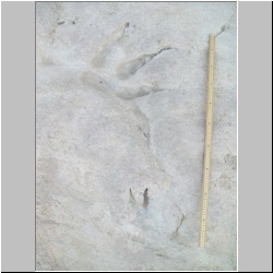 100_8433 (2011-10-03)m.JPG